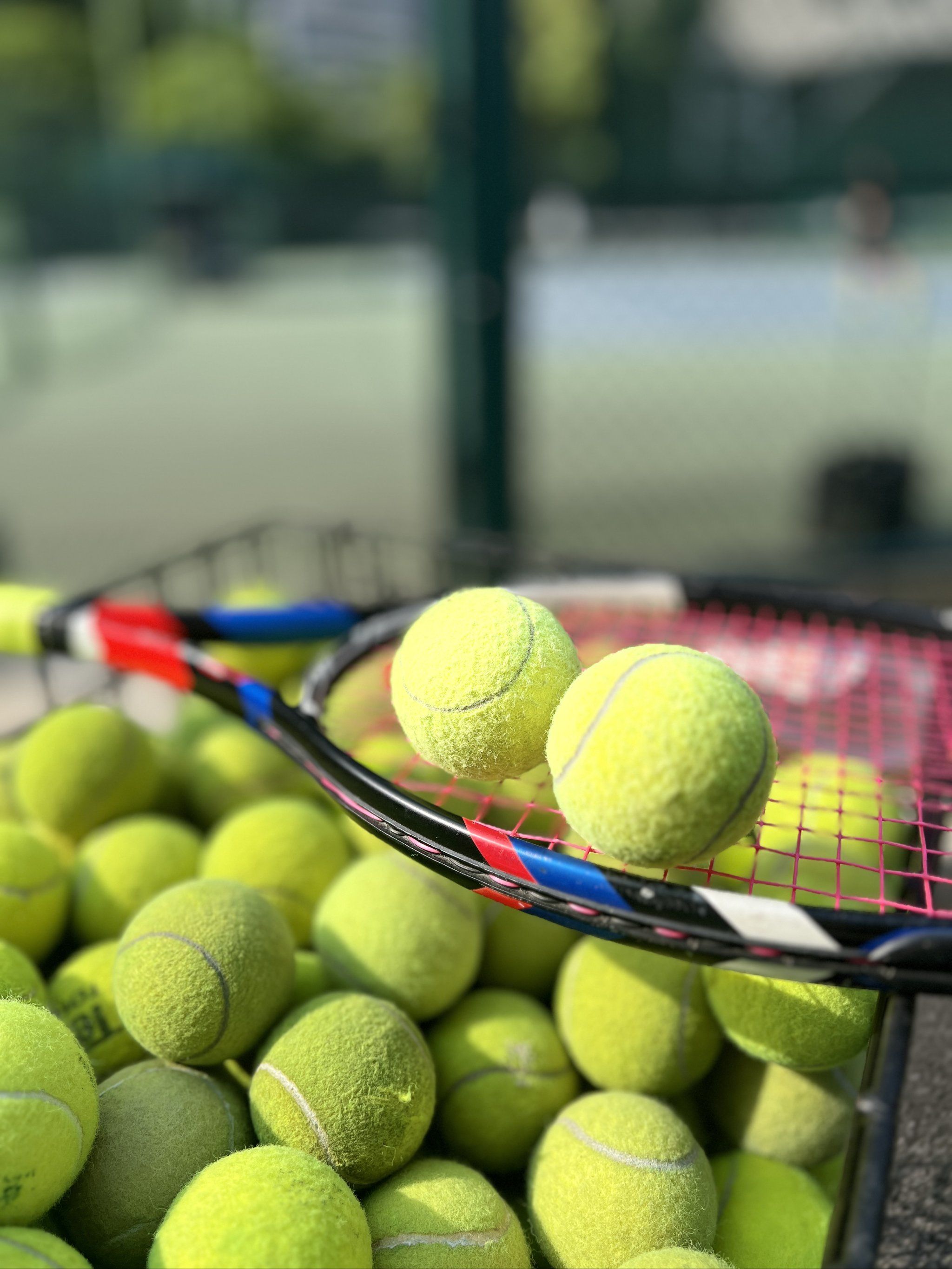 组合效应 组合效应